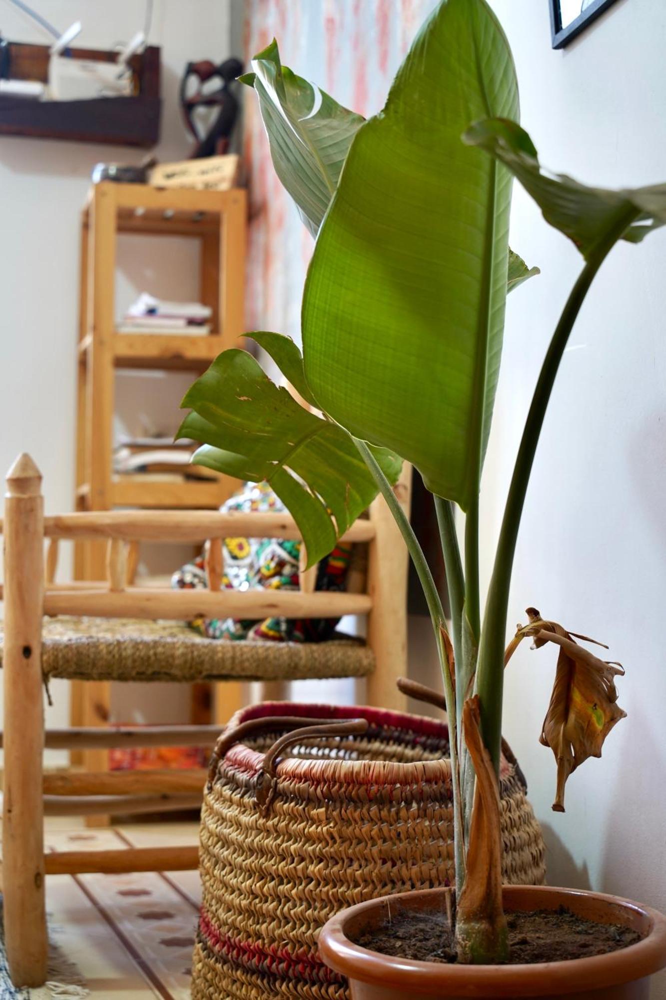 Kosasurfmorocco Hotel Aourir Ngoại thất bức ảnh